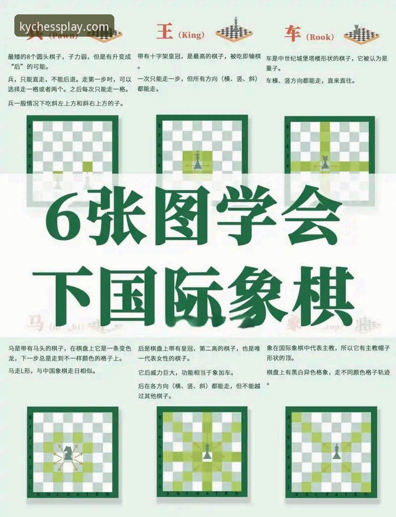 KY棋盘娱乐平台深度评测：新手入门到进阶的完整体验报告